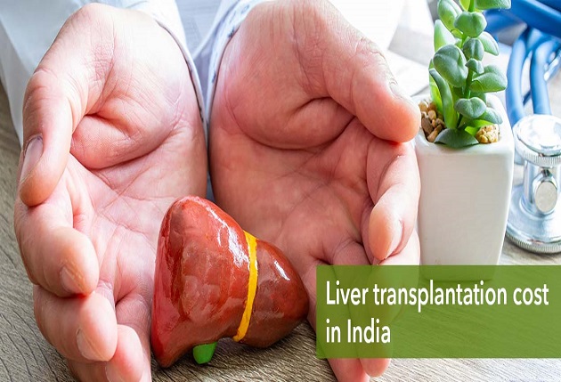 Life after liver transplant