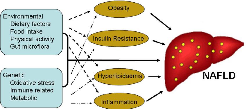 nafld