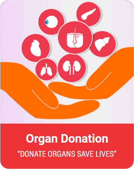 organ donation